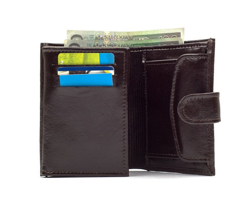 Elegancki brązowy skórzany męski portfel SOLIER SW04B